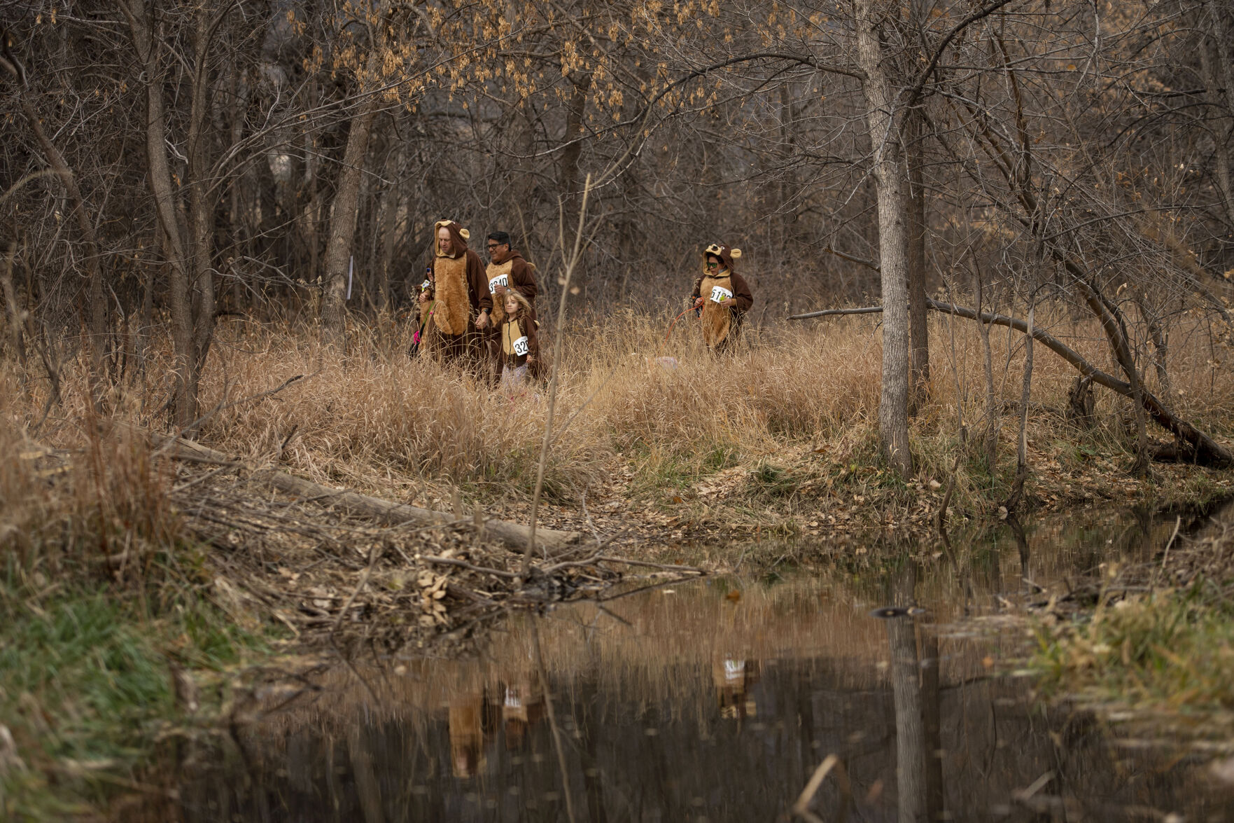 111421-news-bearrun 13.jpg